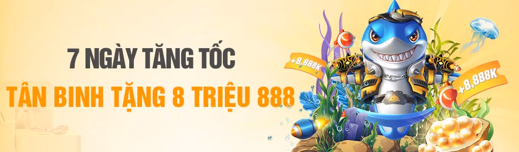 code 88tr 